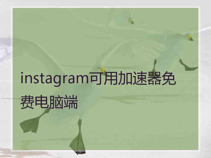 instagram可用加速器免费电脑端
