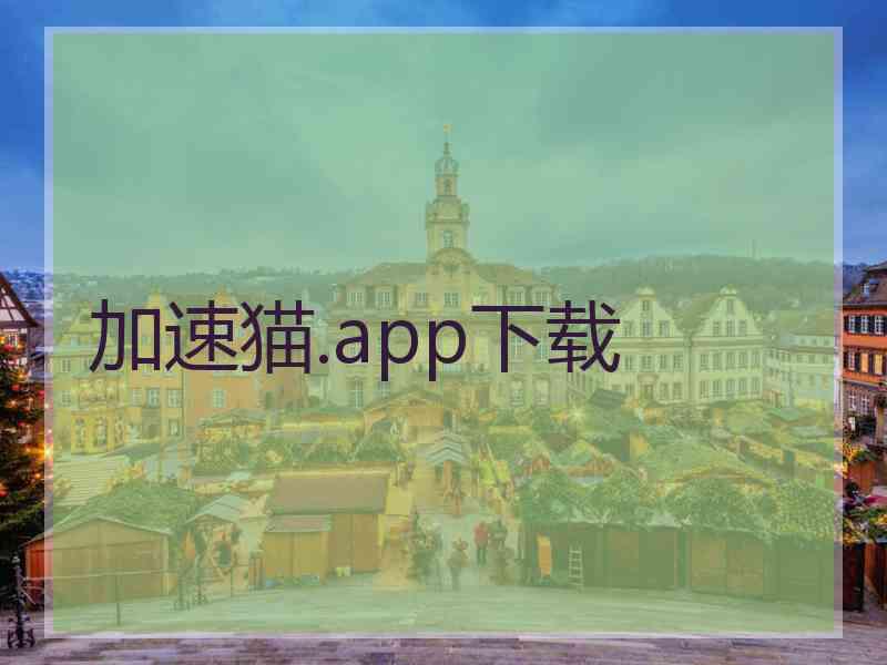 加速猫.app下载