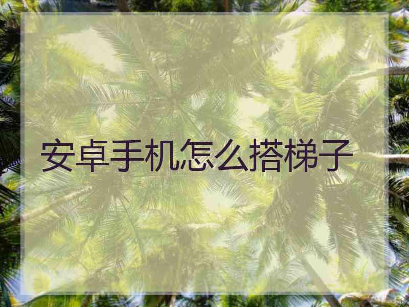 安卓手机怎么搭梯子