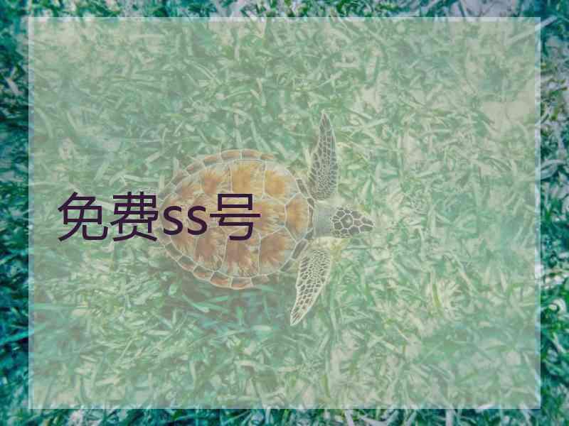 免费ss号