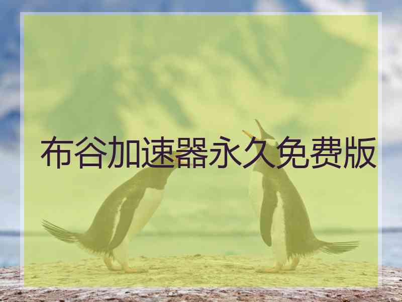 布谷加速器永久免费版