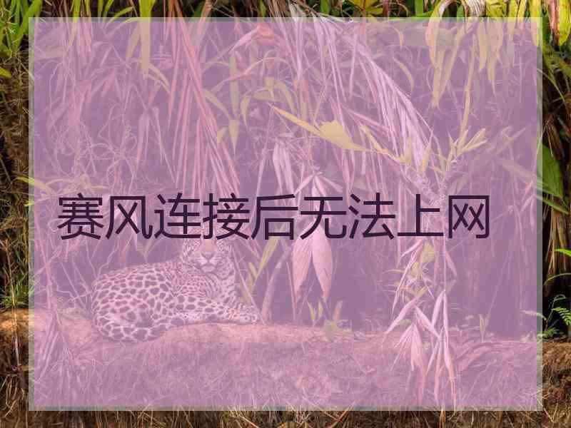赛风连接后无法上网