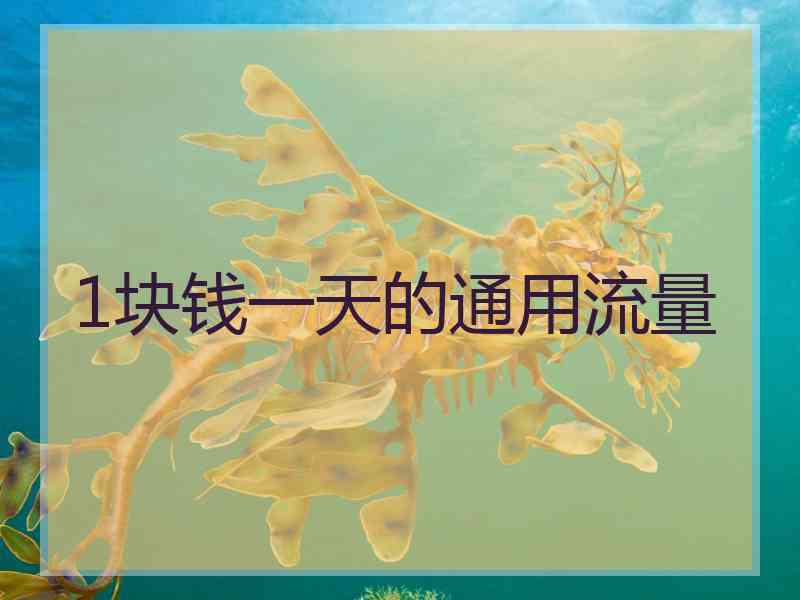 1块钱一天的通用流量