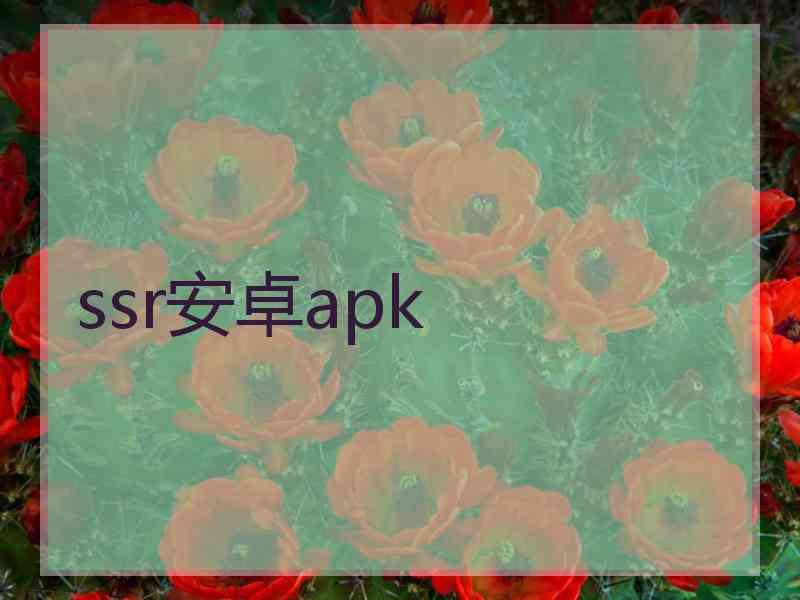 ssr安卓apk