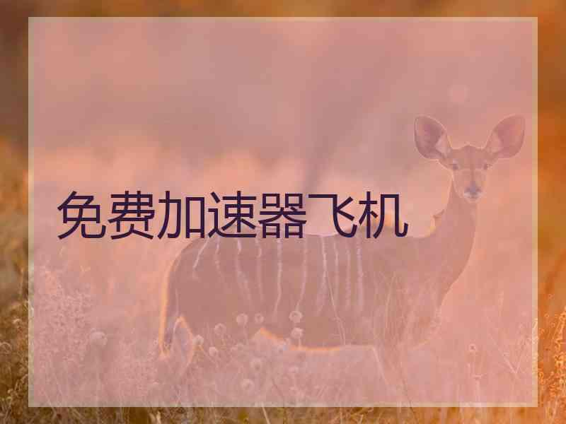 免费加速器飞机