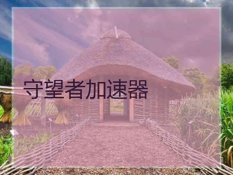 守望者加速器