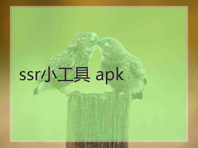 ssr小工具 apk
