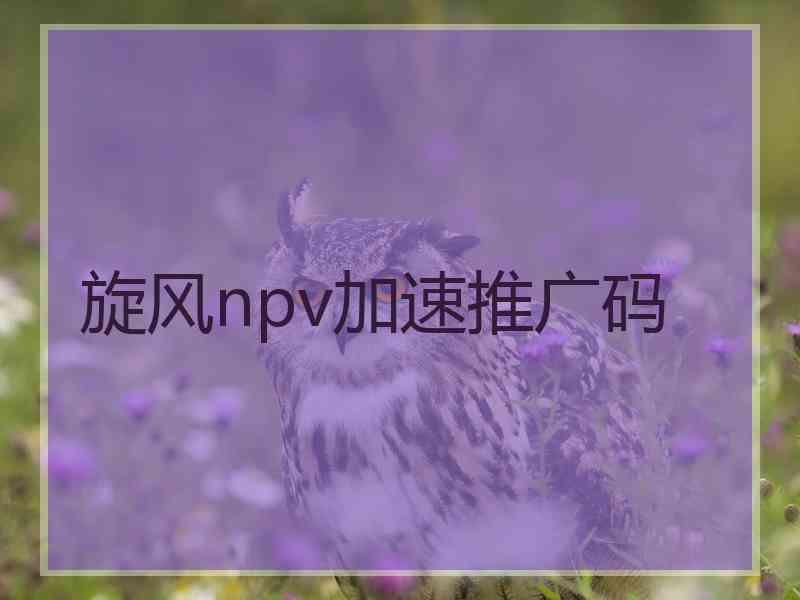 旋风npv加速推广码