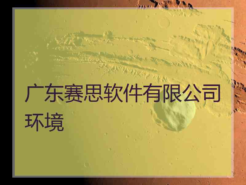 广东赛思软件有限公司环境