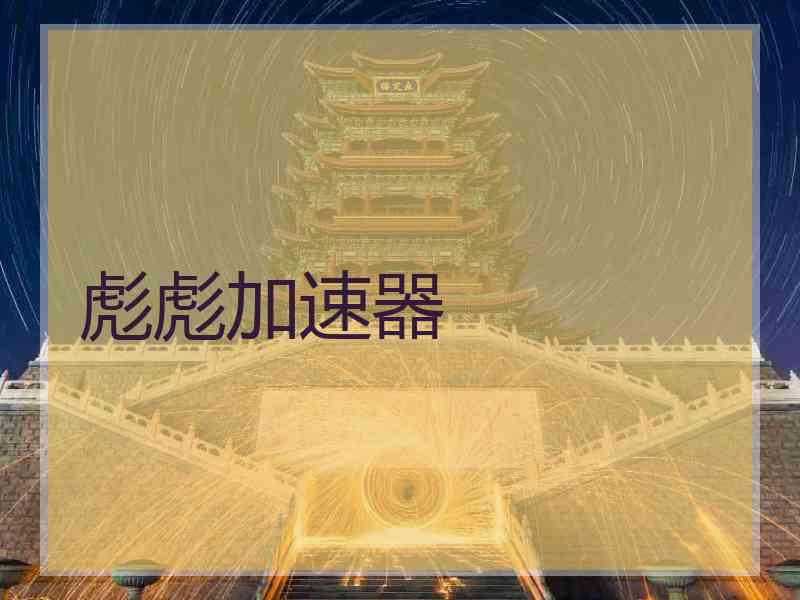 彪彪加速器