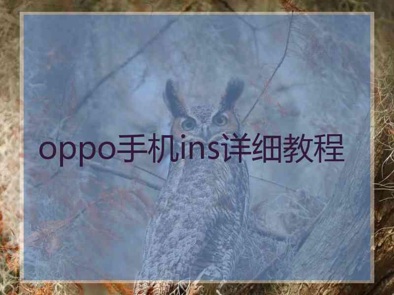 oppo手机ins详细教程