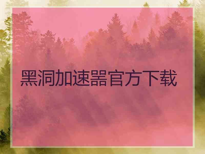 黑洞加速噐官方下载