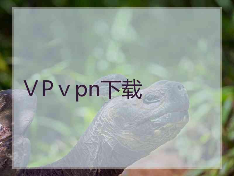 ⅤPⅴpn下载