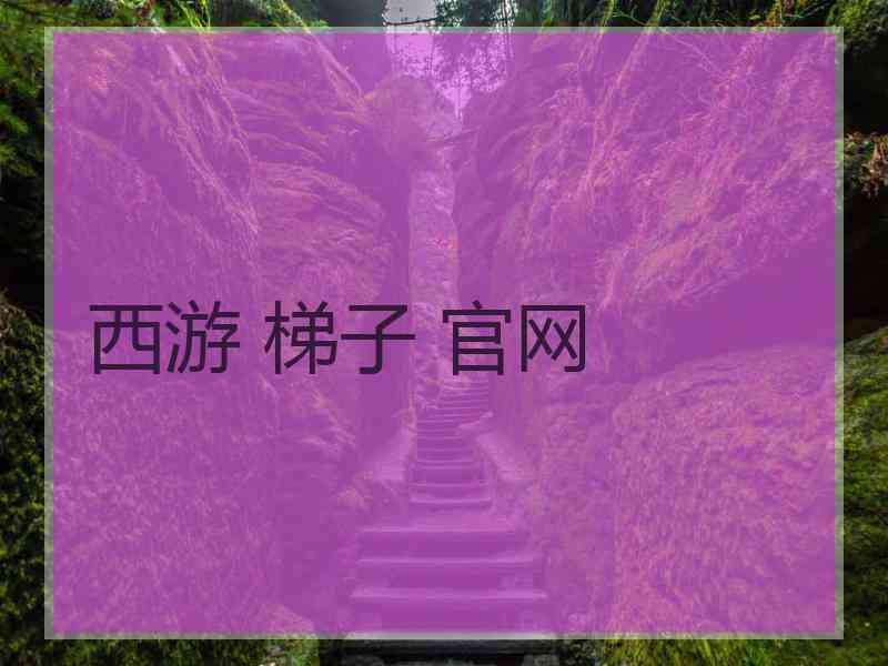 西游 梯子 官网
