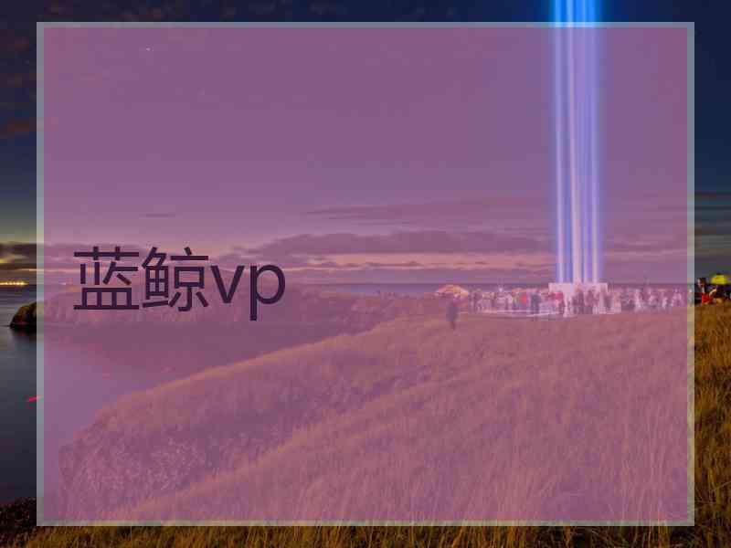 蓝鲸vp