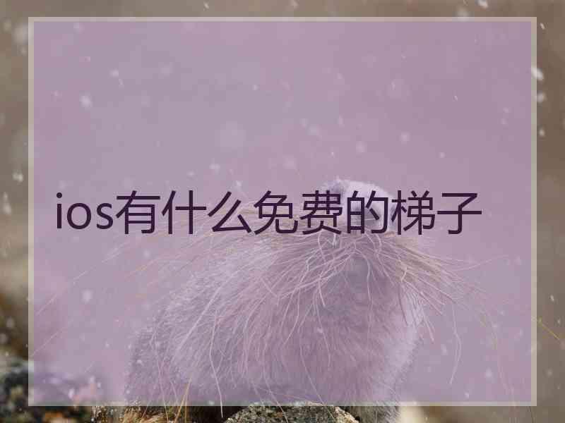 ios有什么免费的梯子