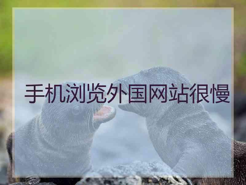 手机浏览外国网站很慢