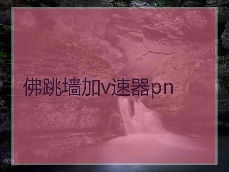佛跳墙加v速器pn