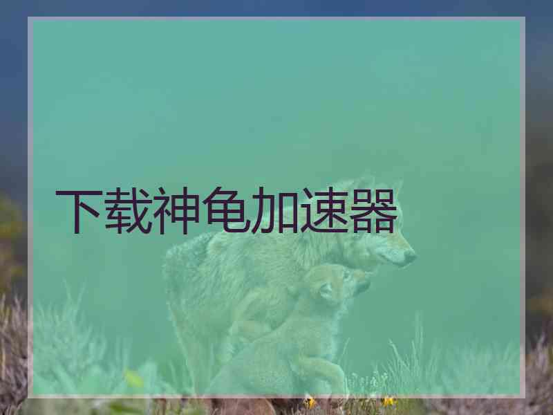 下载神龟加速器