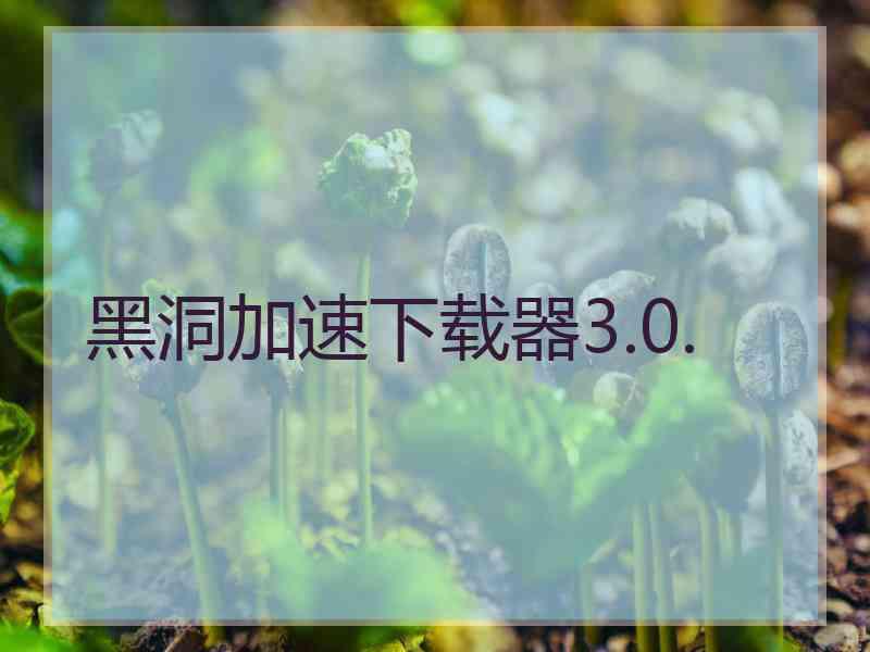 黑洞加速下载器3.0.