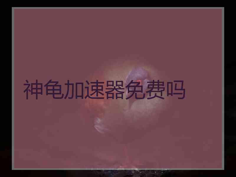 神龟加速器免费吗