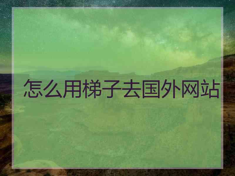 怎么用梯子去国外网站