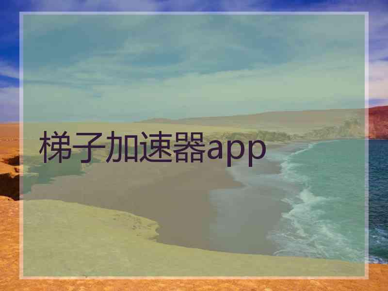 梯子加速器app