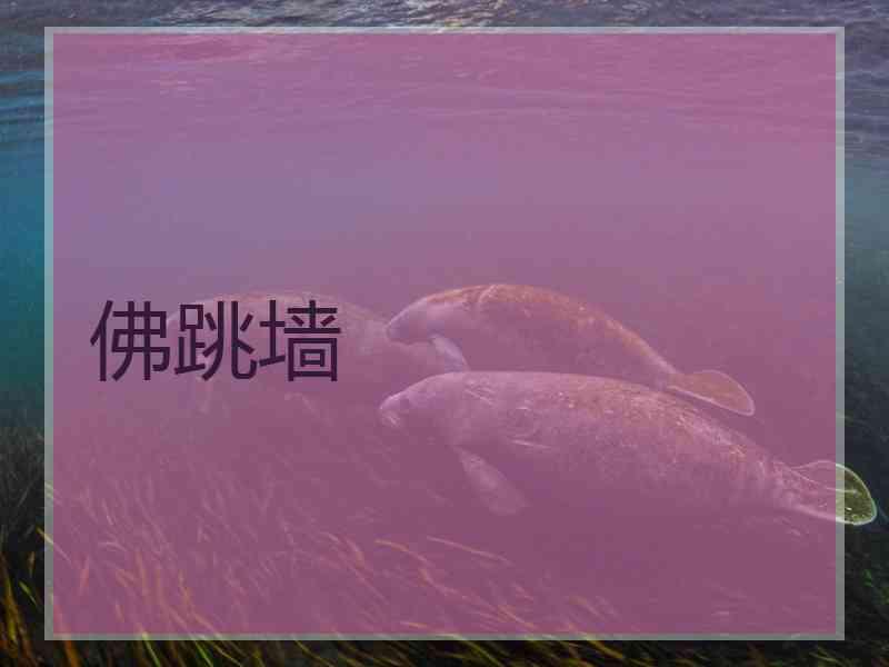 佛跳墙