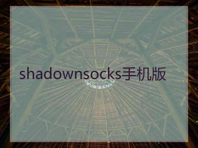 shadownsocks手机版