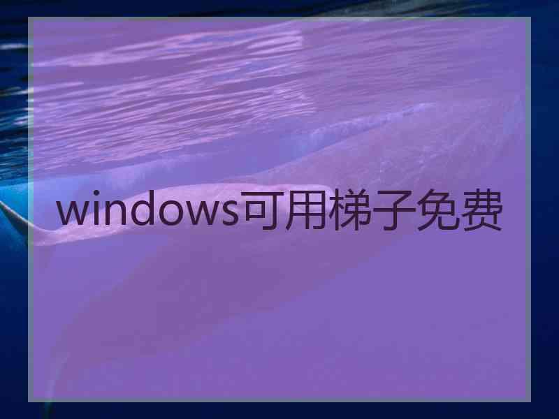 windows可用梯子免费