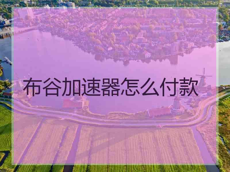 布谷加速器怎么付款