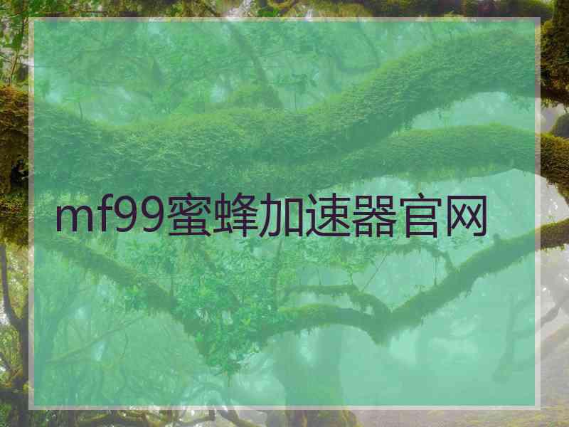 mf99蜜蜂加速器官网