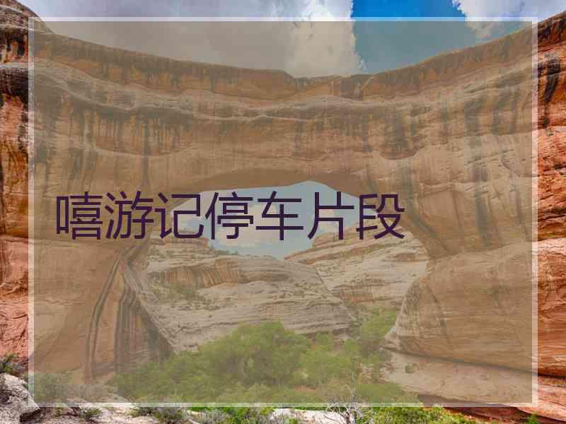 嘻游记停车片段