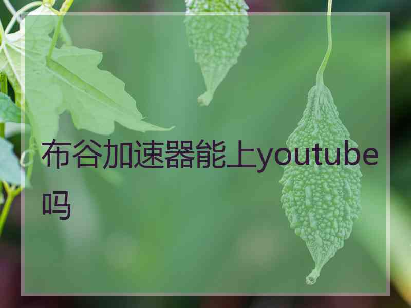 布谷加速器能上youtube吗