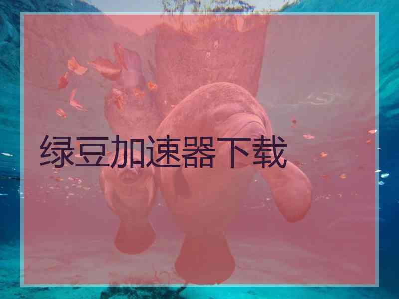 绿豆加速器下载