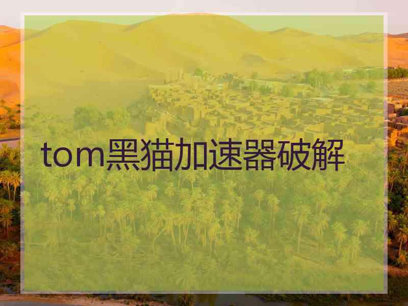 tom黑猫加速器破解