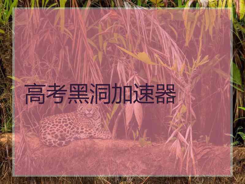 高考黑洞加速器