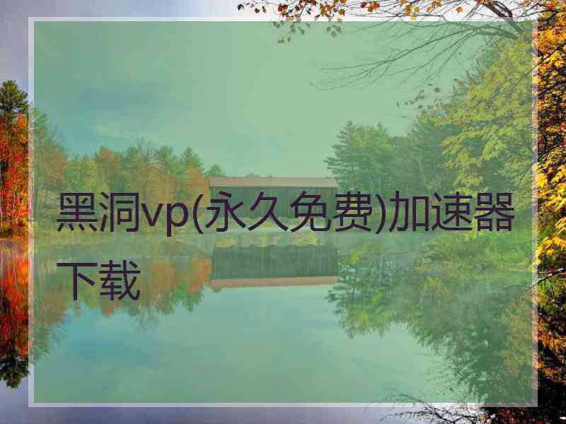 黑洞vp(永久免费)加速器下载