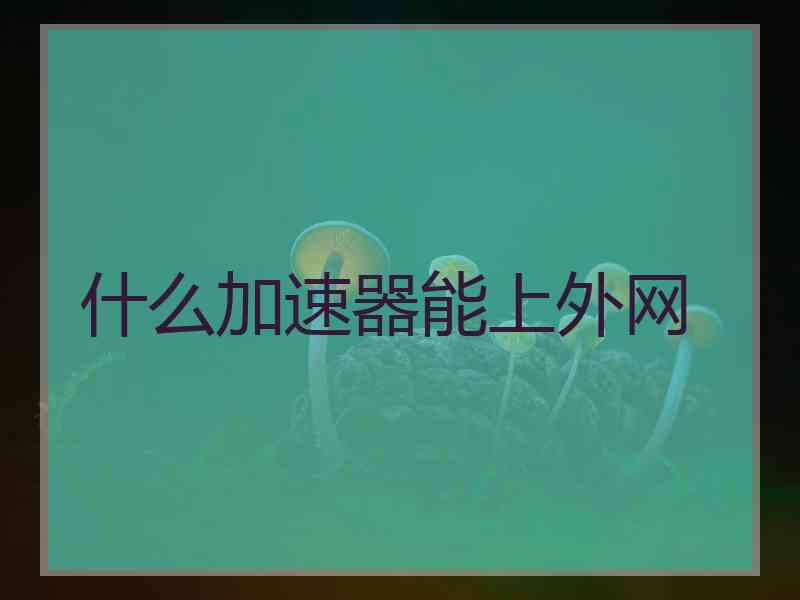 什么加速器能上外网