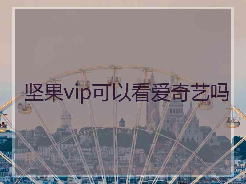 坚果vip可以看爱奇艺吗