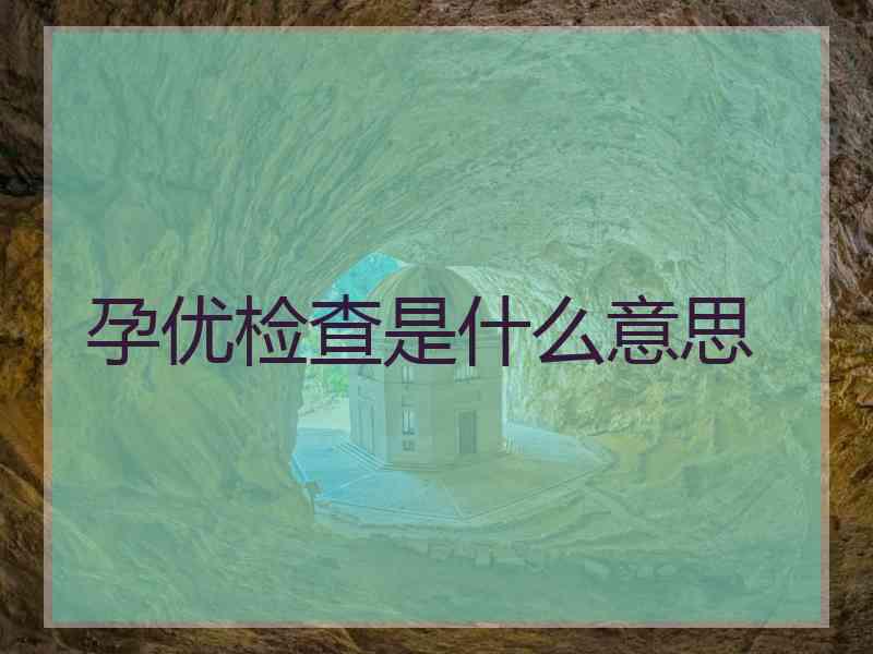 孕优检查是什么意思