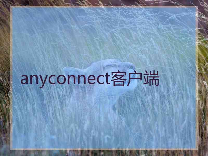 anyconnect客户端