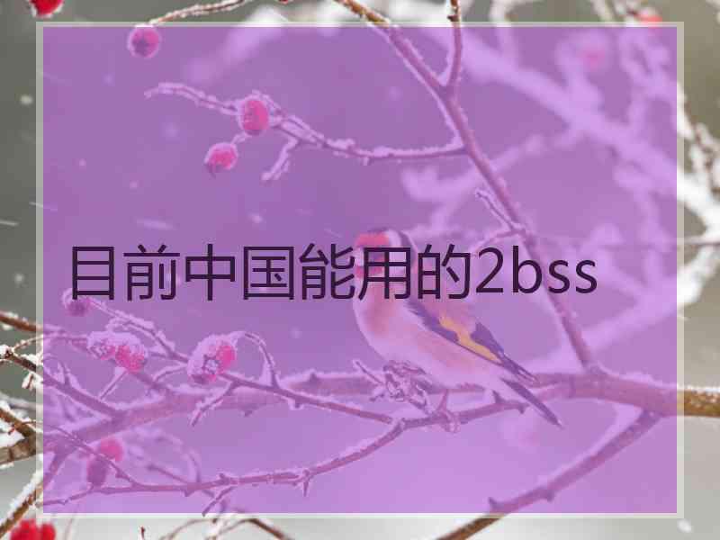 目前中国能用的2bss