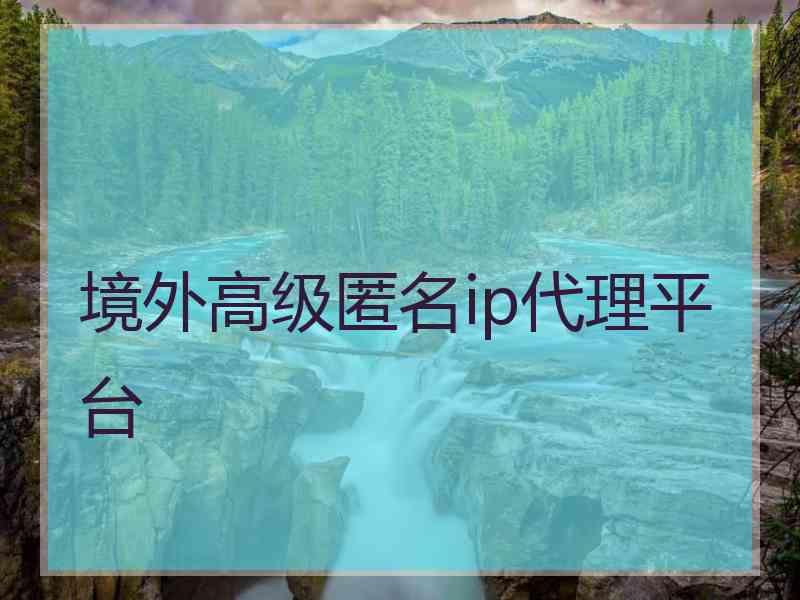 境外高级匿名ip代理平台