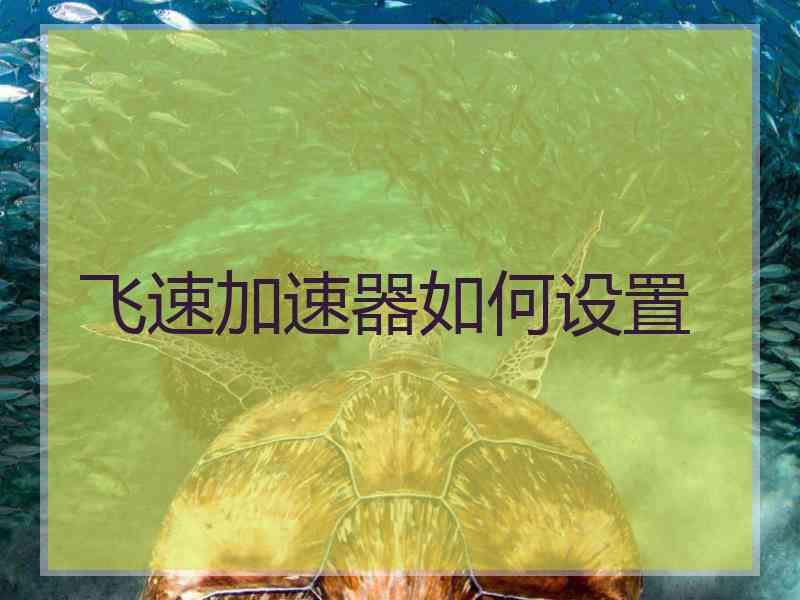 飞速加速器如何设置