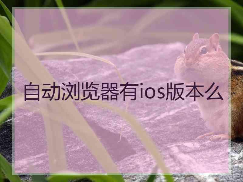 自动浏览器有ios版本么
