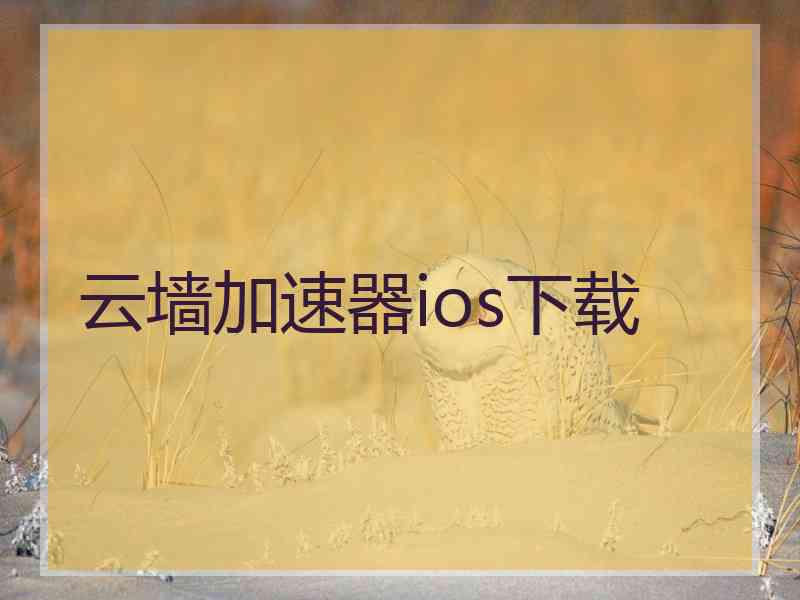 云墙加速器ios下载