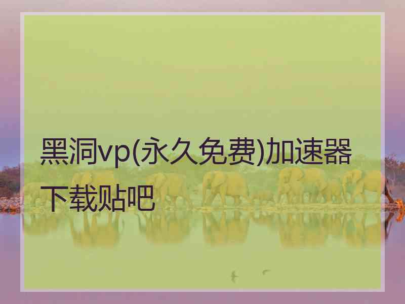 黑洞vp(永久免费)加速器下载贴吧