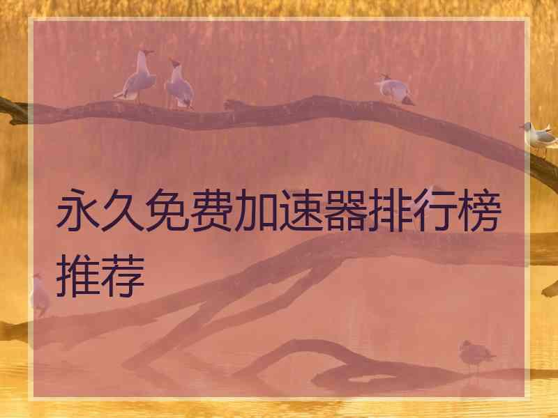 永久免费加速器排行榜推荐