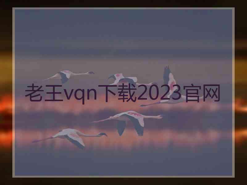 老王vqn下载2023官网